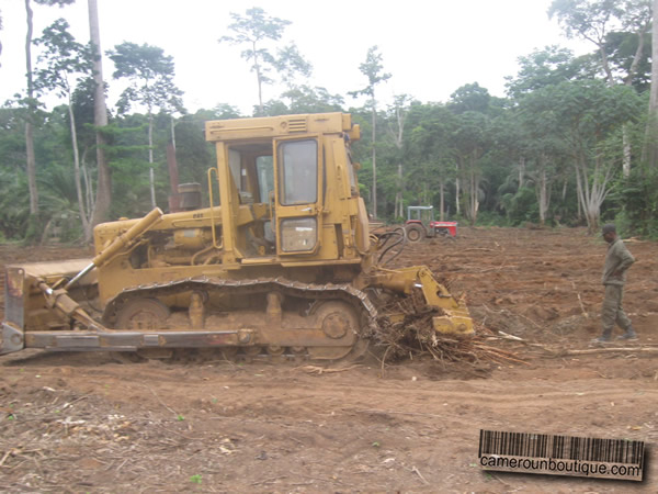 Location Engin Bulldozer Caterpillar à Yaoundé