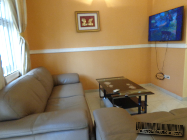 Location appartement meublé 2 chambres à Mimboman Yaoundé