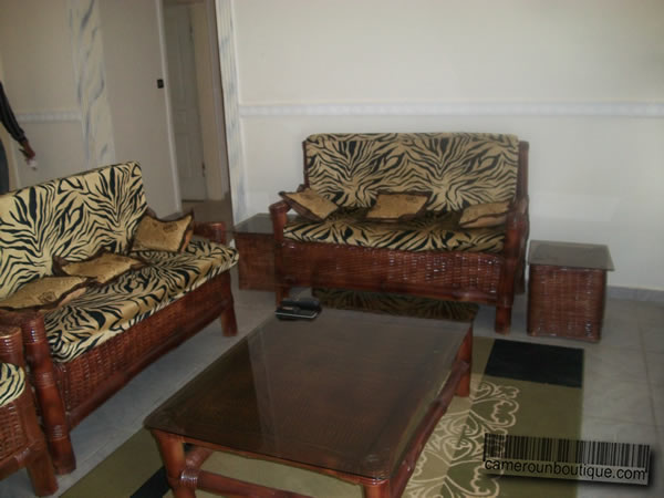 Salon Appartement meublé Yaoundé Mvan