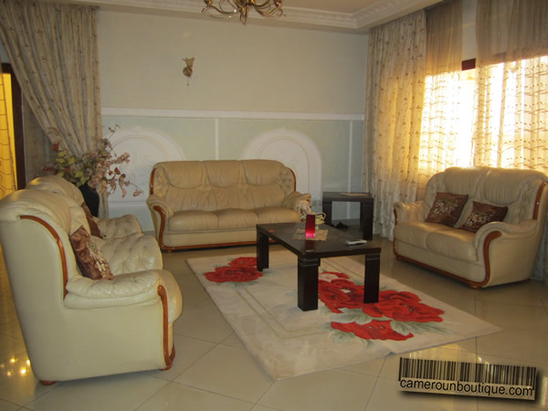 Salon appartement meublé Yaoundé Nkomo Maetur Salon appartement meublé Yaoundé Nkomo Maetur